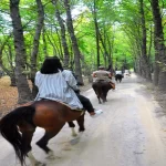 Fethiye Kargı At Turu