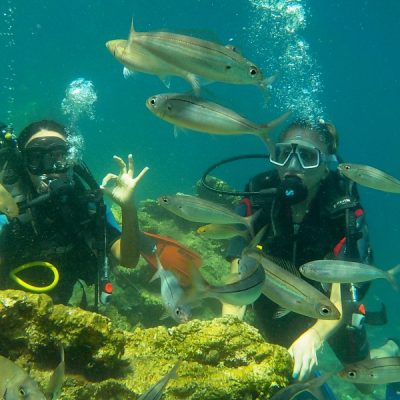 Ölüdeniz Tüplü Dalış Turu