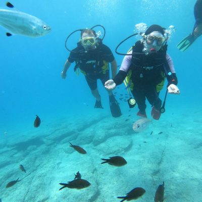 Fethiye Tüplü Dalış Turu