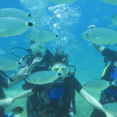 Fethiye Tüplü Dalış Turu