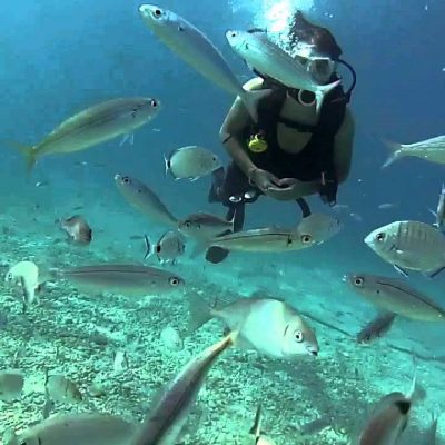 Fethiye Tüplü Dalış Turu (3)