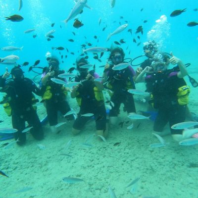 Ölüdeniz Özel Tüplü Dalış Turu