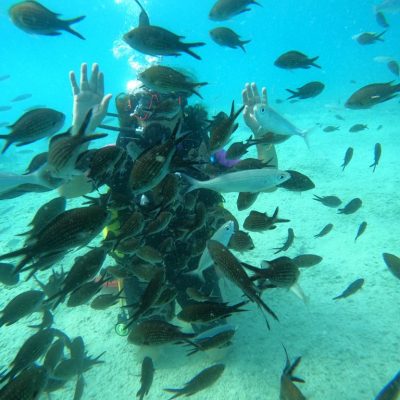 Ölüdeniz Özel Tüplü Dalış Turu