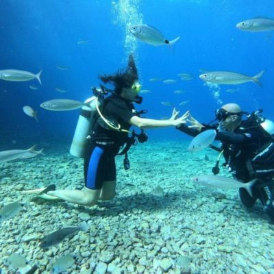 Ölüdeniz Tüplü Dalış Sorulan Sorular