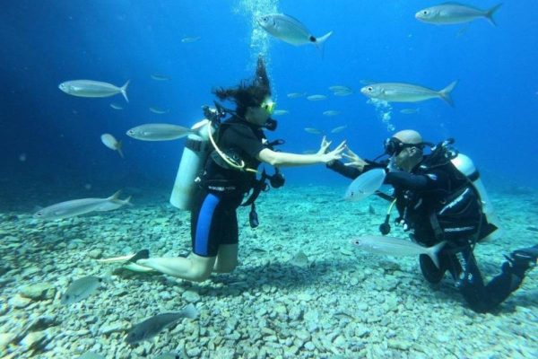 Ölüdeniz Tüplü Dalış Sorulan Sorular