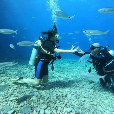 Ölüdeniz Tüplü Dalış Sorulan Sorular