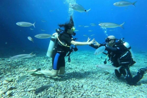 Ölüdeniz Tüplü Dalış Sorulan Sorular
